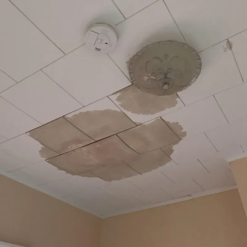 Ceiling Water Damage Repair in Park Falls, WI