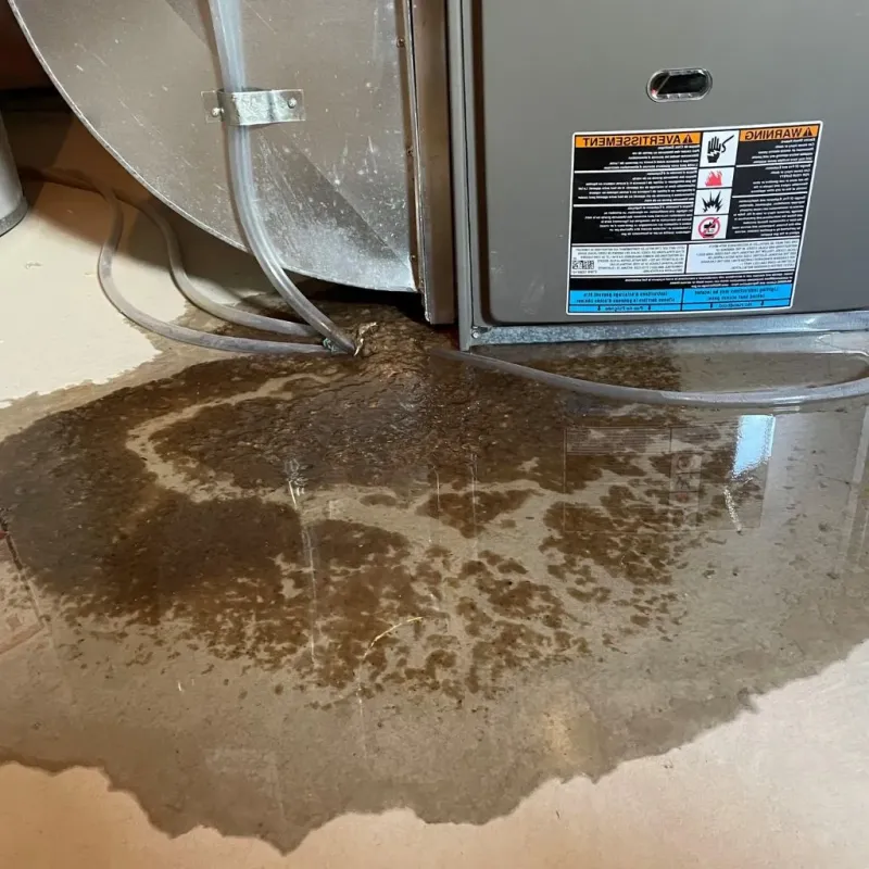 Pipe Burst and Leak Restoration in Park Falls, WI